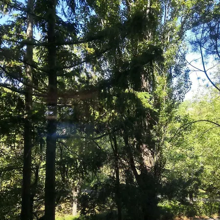 公寓 Tree 布拉迪斯拉发